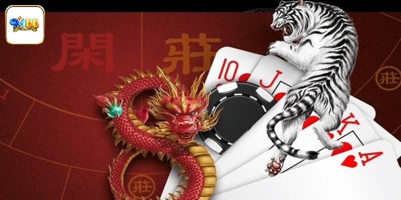 Điểm qua khái niệm giới thiệu sân chơi rồng hổ