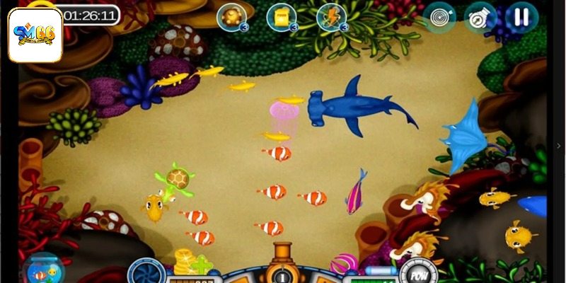 Luôn kiểm tra thật kỹ chế độ thưởng trò chơi