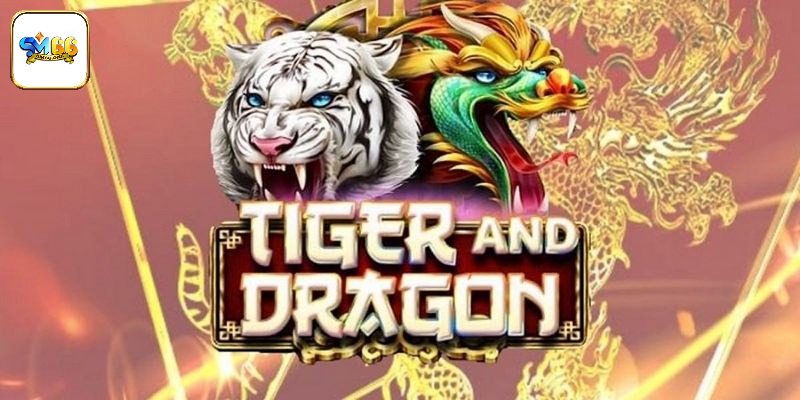Thuật ngữ rồng hổ SM66 anh em phải biết